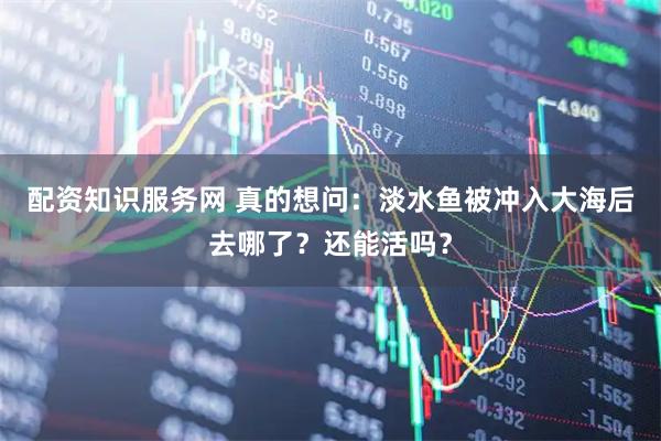 配资知识服务网 真的想问：淡水鱼被冲入大海后去哪了？还能活吗？
