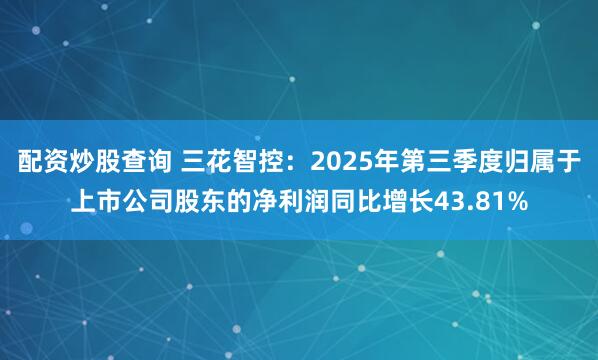 配资炒股查询 三花智控：2025年第三季度归属于上市公司股东的净利润同比增长43.81%