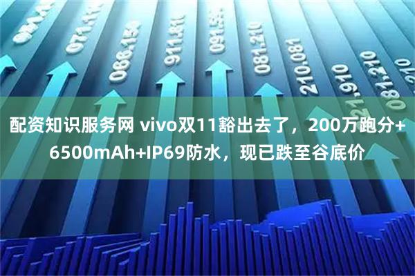 配资知识服务网 vivo双11豁出去了，200万跑分+6500mAh+IP69防水，现已跌至谷底价