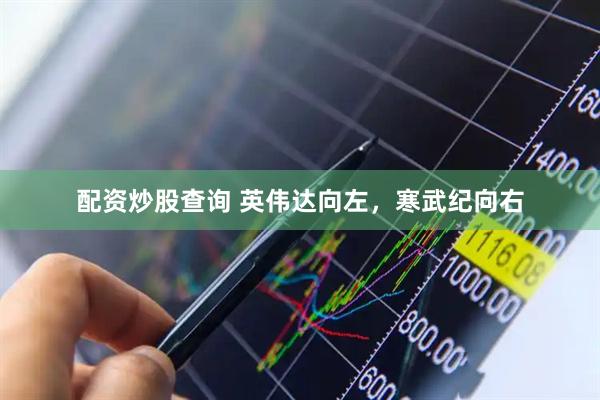 配资炒股查询 英伟达向左，寒武纪向右