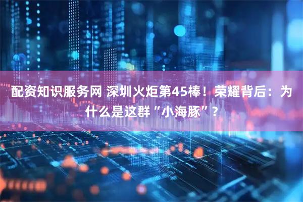 配资知识服务网 深圳火炬第45棒！荣耀背后：为什么是这群“小海豚”？