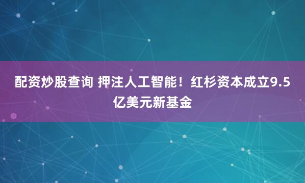 配资炒股查询 押注人工智能！红杉资本成立9.5亿美元新基金