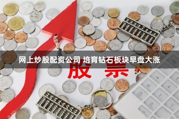 网上炒股配资公司 培育钻石板块早盘大涨