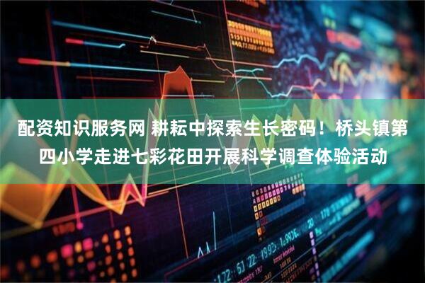 配资知识服务网 耕耘中探索生长密码！桥头镇第四小学走进七彩花田开展科学调查体验活动