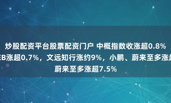 炒股配资平台股票配资门户 中概指数收涨超0.8%，KWEB涨超0.7%，文远知行涨约9%，小鹏、蔚来至多涨超7.5%